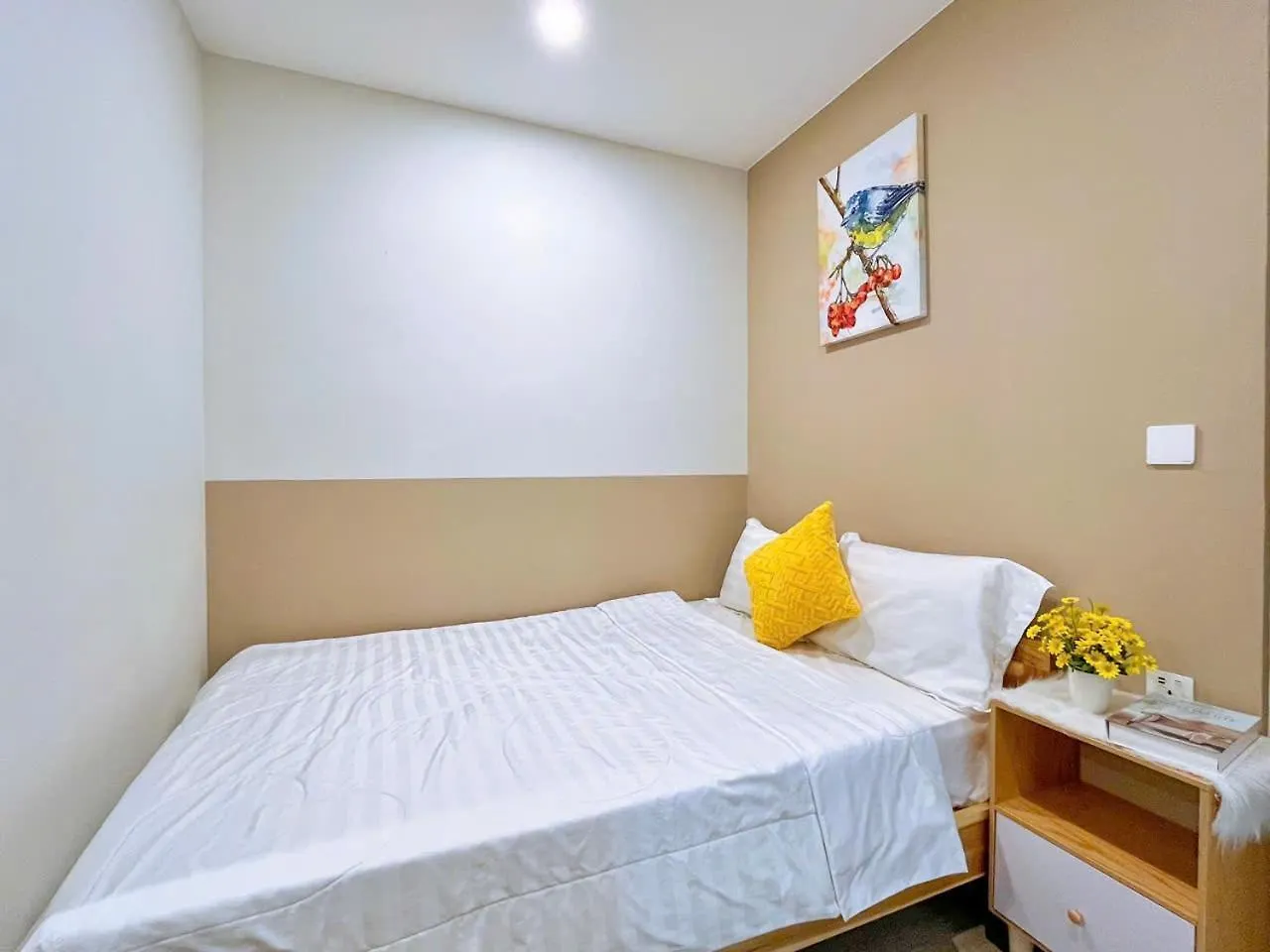 Homestay The Song - Can Ho Du Lich Gia Re, Day Du Tien Nghi Ra Bien 200M Vung Tau